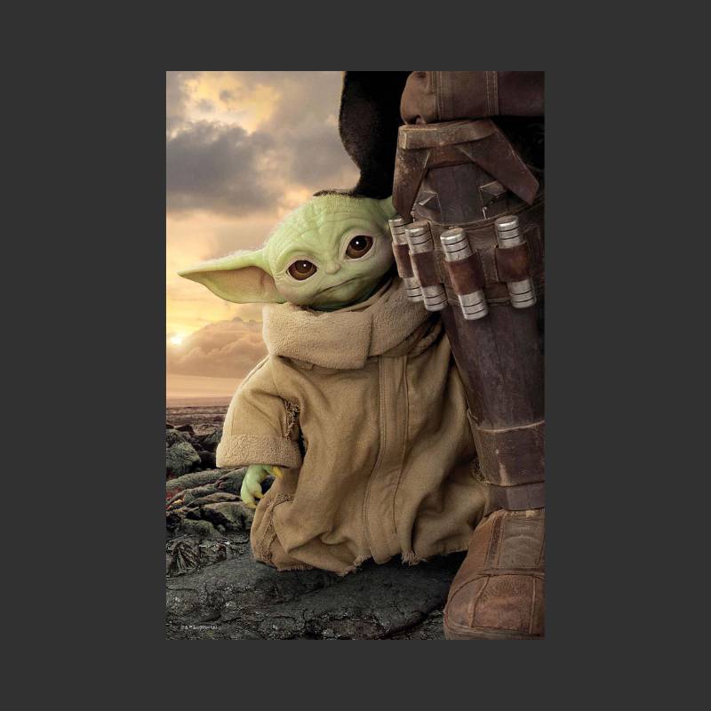 Star Wars: The Mandalorian - Puzzle livre lenticulaire Espèce inconnue 300 pcs 41x31 cm